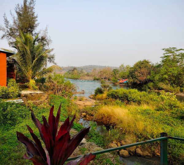 Read more about the article How to Reach Kolad River Rafting Start Point in Saje (Saze) Village, Ravalje – From Mumbai & Pune