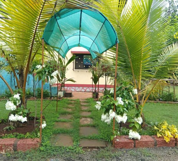 kolad adventure co 6