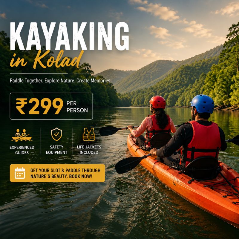 kolad adventure co kayaking